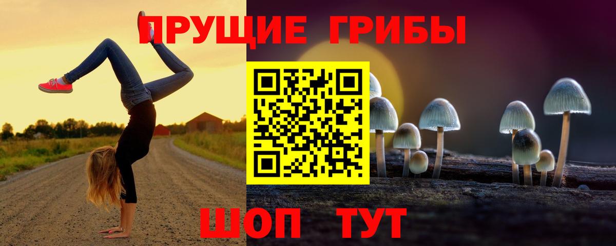 Галлюциногенные грибы Psilocybe  Вход с VPN  наркота  Пушкино  Псилоцибиновые грибы Psilocybe 